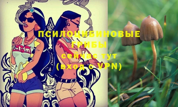 МДПВ Балахна